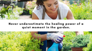 Gardening and Your Health