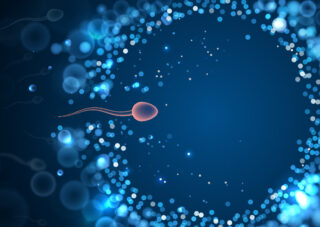 Common Causes For Low Sperm Counts