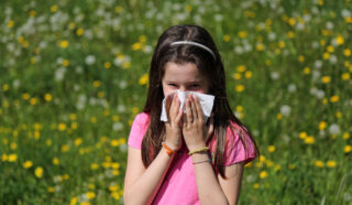 Springtime Allergies: Exploring Holistic Options For Relief