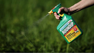 <a></a><strong>The Uses and Disastrous Side Effects of Glyphosate</strong>