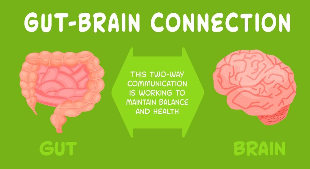 The Surprising Connection Between Oral Health, Gut Health, and Brain ...