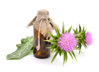 Unlocking the Benefits of Milk Thistle for Liver Health and Wellness