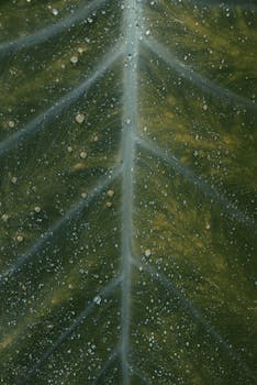 Effective Ear Drops for Pain Relief: Your Guide to Over-the-Counter Solutions