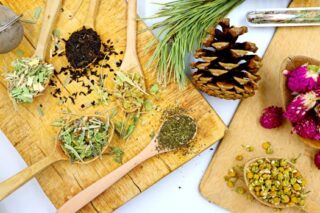 Evening Primrose: Unlocking Its Health Benefits and Uses