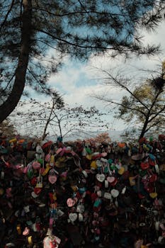 What You Need to Know About Heart Transplant Costs and Financial Considerations