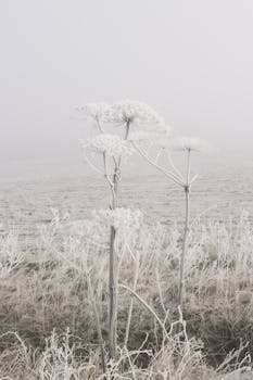 Causes and Solutions for Numbness in Your Face