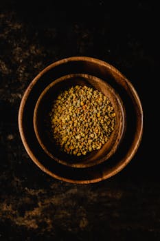 Discover the Amazing Health Benefits of Bee Bread