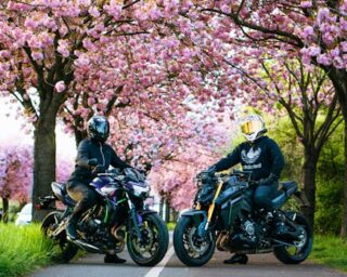 Is Kawasaki Disease in Adults More Common Than We Think?