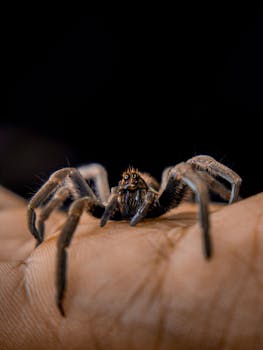 Effective Strategies to Relieve Restless Legs at Night and Address Medication Triggers