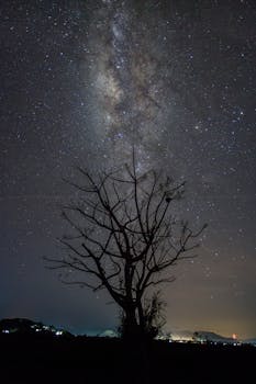 Exploring Vagal Syncope: Causes, Symptoms, and Management Strategies