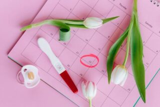 Recognizing the Signs That Ovulation Is Over