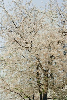 Persistent UTI Symptoms: Why Won’t It Go Away?