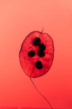 Navigating Subinvolution: Understanding Its Impact on Uterine Health