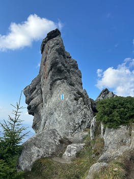 Can Apple Cider Vinegar Help Prevent Kidney Stones?