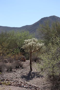 Why Is My Throat Dry Even When I Drink Water?