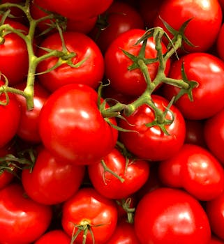 The Carb Content of Tomatoes: What You Need to Know