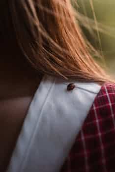 Are Stomach Bugs Contagious and How Long Should You Be Cautious?