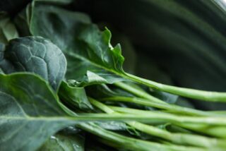 Discover the Amazing Health Benefits and Nutritional Value of Collard Greens