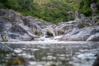 Quick Remedies for Passing Kidney Stones Efficiently