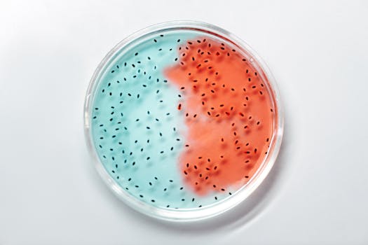 The Hidden World of Fastidious Bacteria: What You Need to Know - Your ...