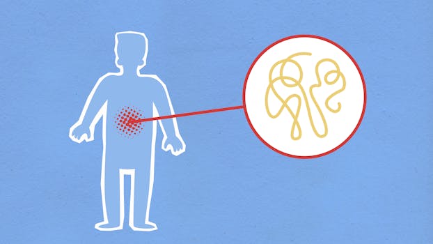 Can Inflammation Lead to Weight Gain? Discover the Connection - Your ...