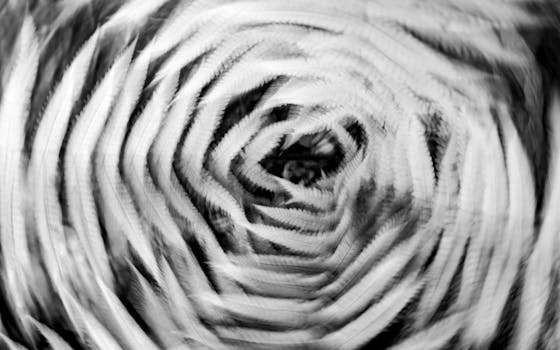 Navigating the ICD 10 Code for Dizziness: What You Need to Know - Your ...