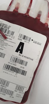 Promyelocytes: Key Insights into Their Role in Blood Health