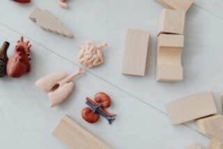 What Are the Effects of an Atrophic Kidney on Your Health?