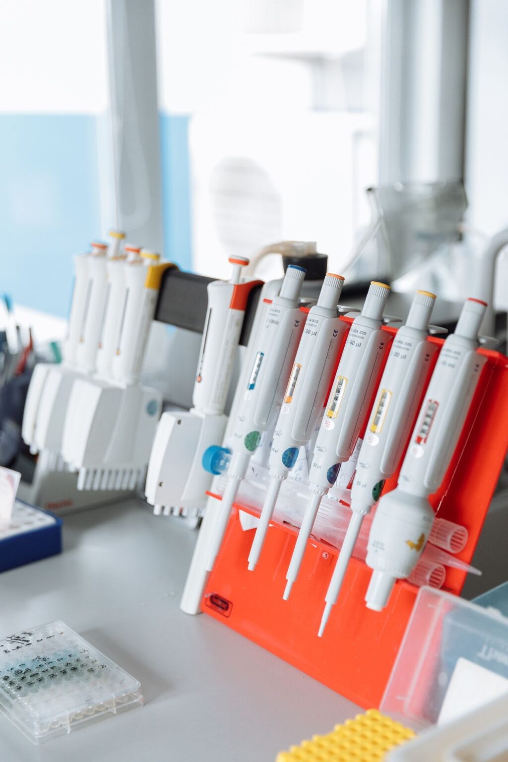 Laboratory pipettes arranged in a rack on a lab bench courtesy of Thirdman on Pexels
